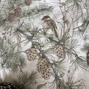 Pottery Barn Nature-Inspired Duvet Cover/Shams in Green and Brown